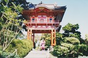 027-Papa and Uma in Japanese Tea Garden